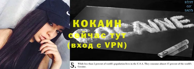 COCAIN FishScale  mega маркетплейс  Видное  наркотики 